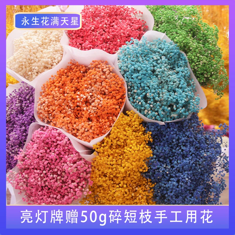 云南工厂直发A级永生满天星批发2斤2真花制作工艺450g清新观赏