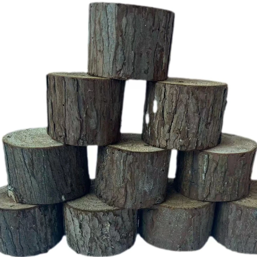 铁皮石斛种植专用杉木桩原木实木桩园艺装饰小柱子花家庭装饰围栏
