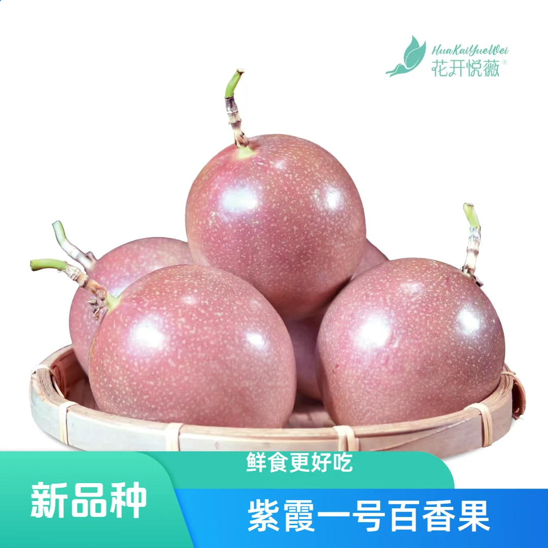 【顺丰快递】紫霞1号新品种鲜食百香果树上熟当季新鲜水果香味浓郁