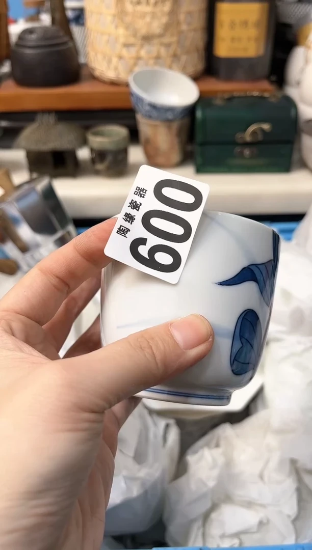 【闪购商品】茶宠600 芸豆 芸豆 芸豆 芸豆  小棕眼