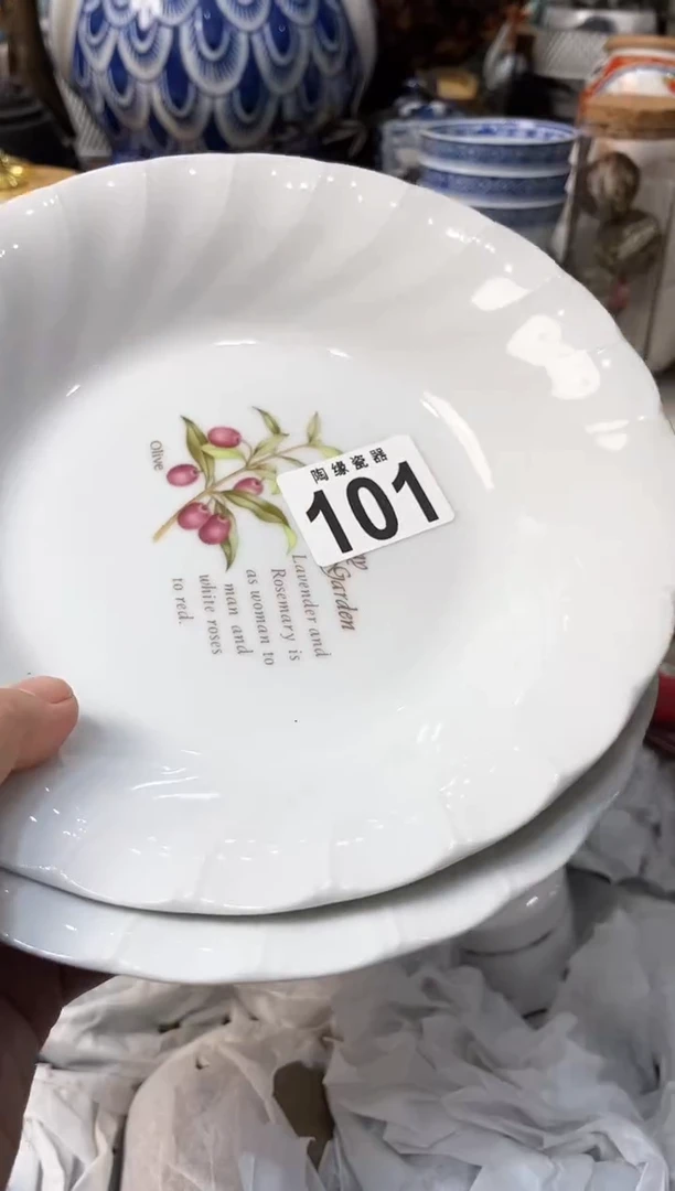 【闪购商品】茶宠101Cecilia带你看世界