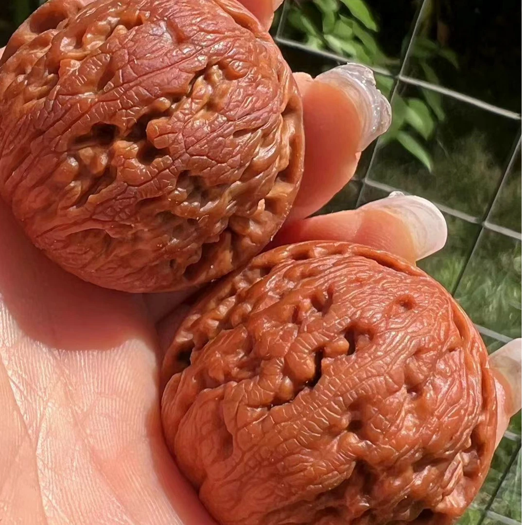 【龙珠】秦岭核桃野生文玩核桃精选配对41-42MM