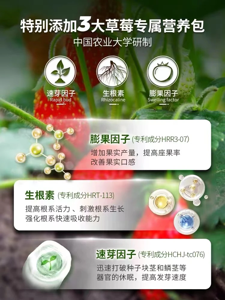 草莓专用基质，促生根，促开花，促结果，不板结，疏松透气，无重金属