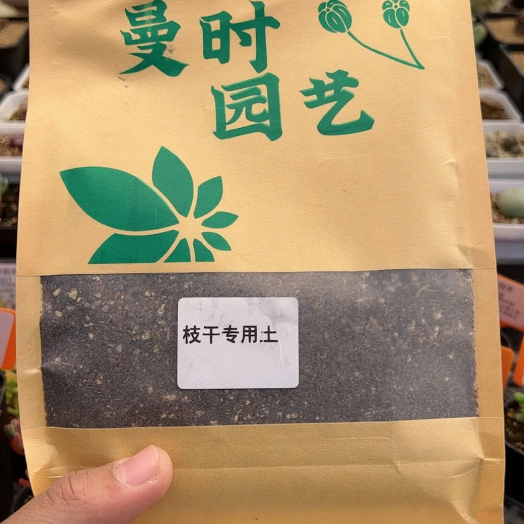 【闪购商品】1.1土多肉