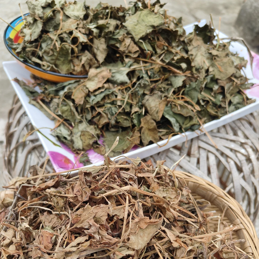 四川农家自晒干鱼腥草折耳根干茎叶可炖肉泡茶煮水煲汤