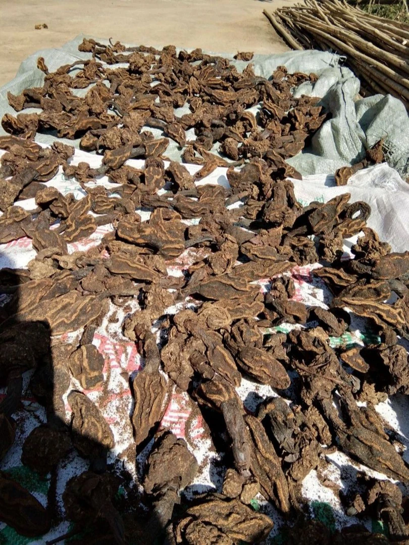 极边印象----高山优质汇草