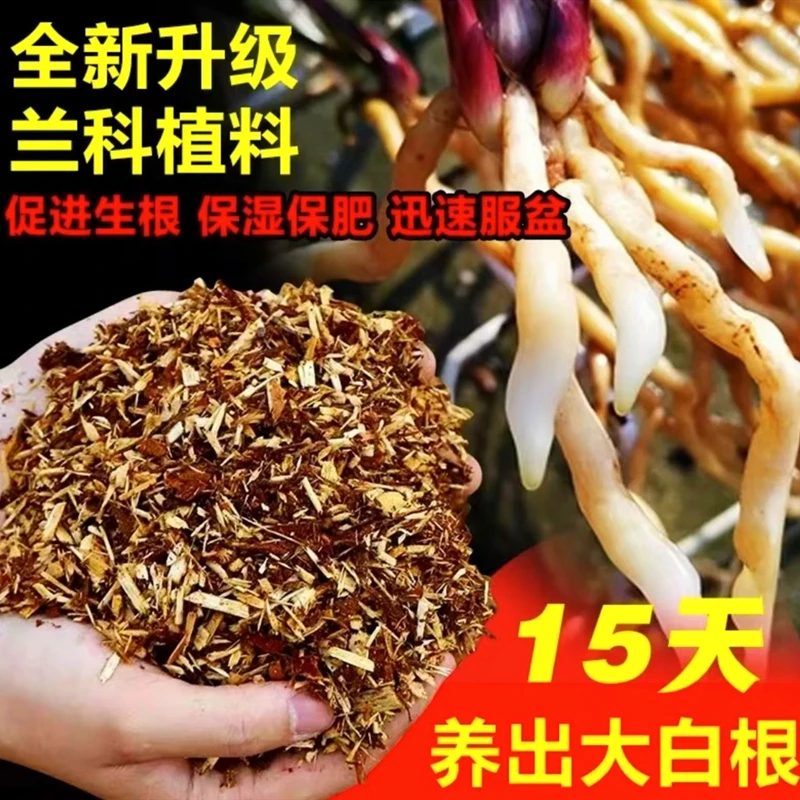 【兰花专用土】兰花专用土家庭养兰必备富含水杨酸兰花通用促进生根