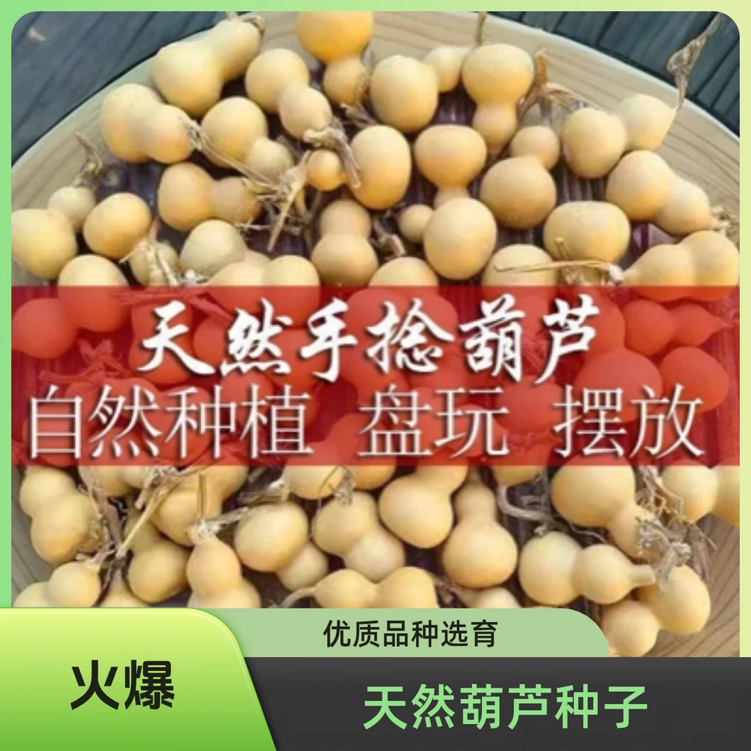 天然小葫芦手捻野生自然葫芦手把件迷你摆件龙头挂件自然生长