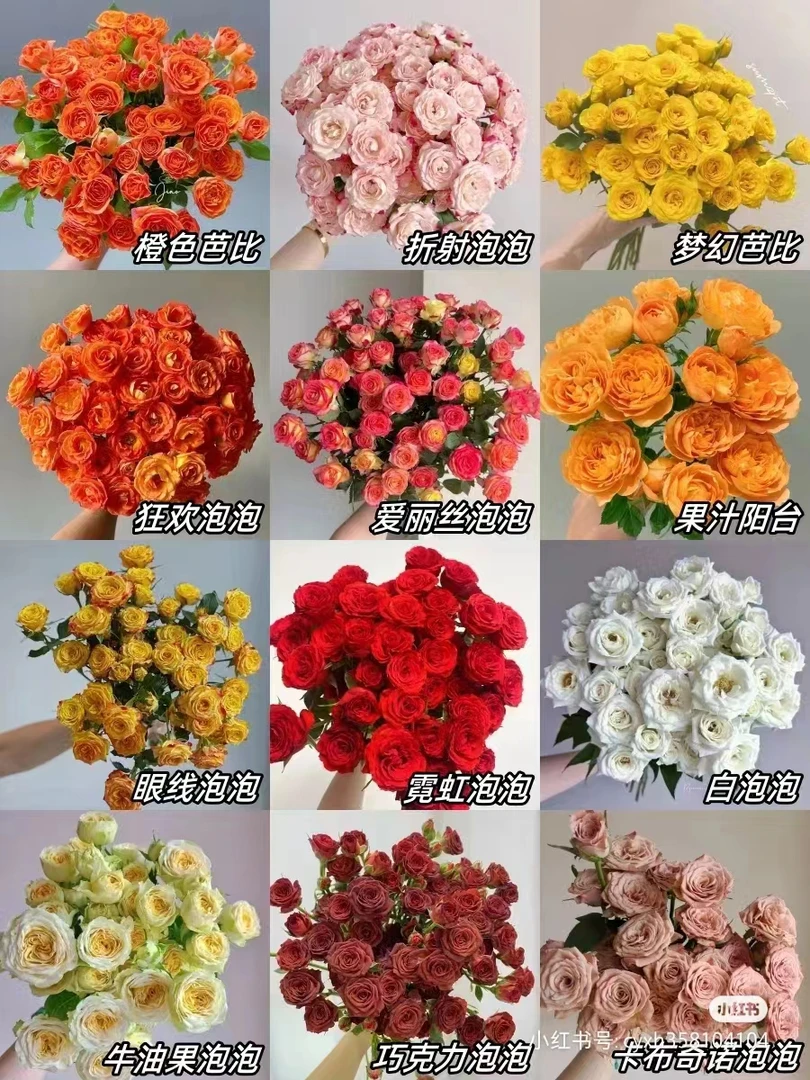 泡泡玫瑰 昆明直发  (4单包邮，20%不售后)