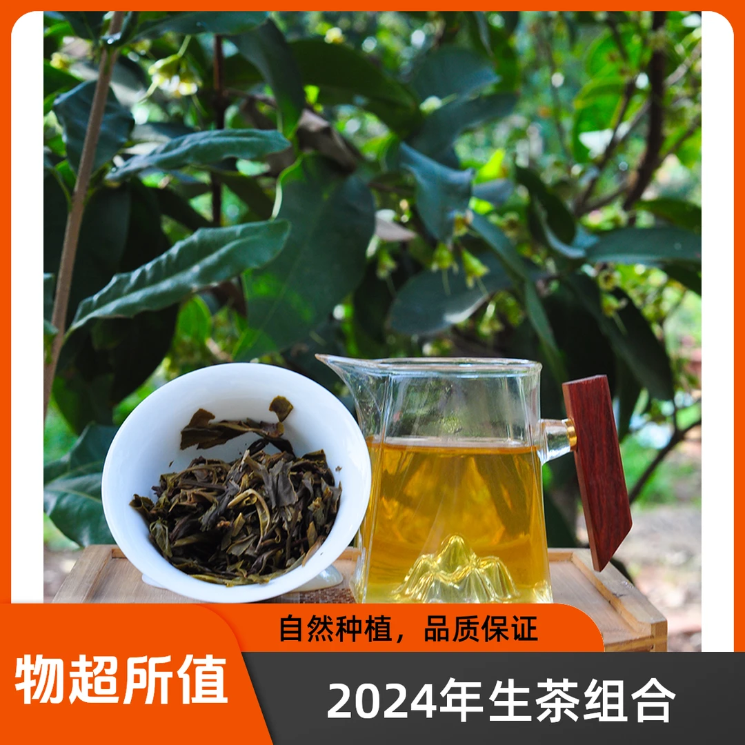 10.22【2024年生茶组合（大漆树，小荒田，贺开）】古树头春生散茶 100g