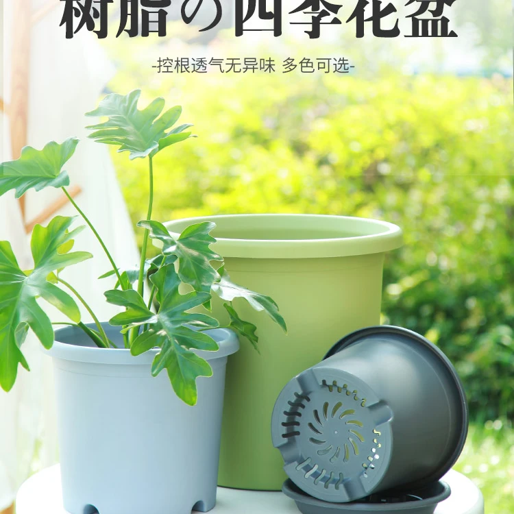 四季花盆 桌面花盆