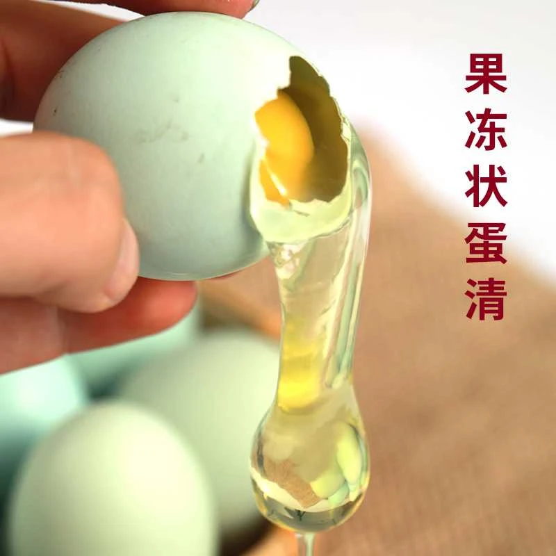 土鸡蛋绿壳土鸡蛋跑山鸡蛋散养鸡蛋家庭农场养殖