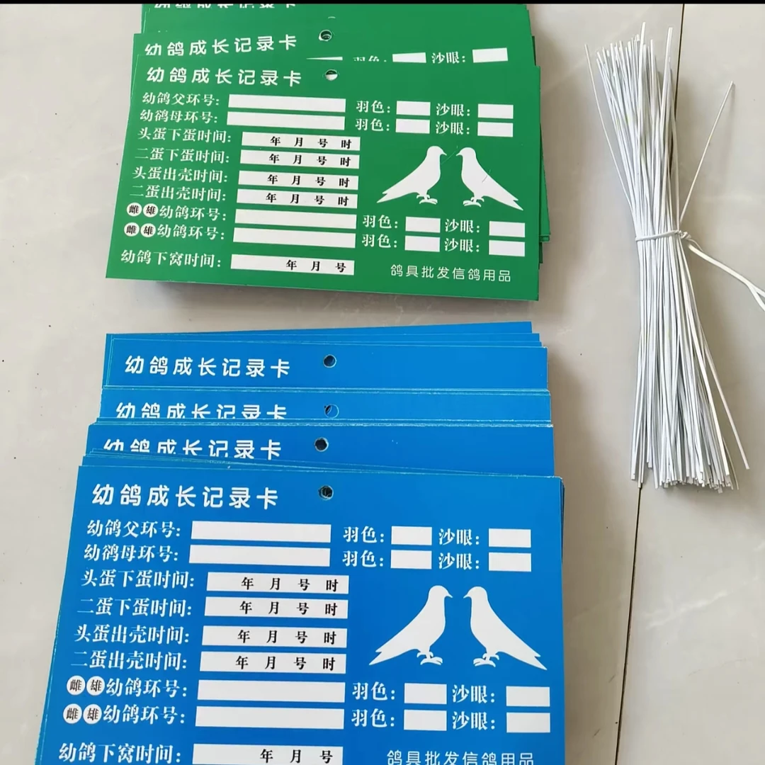 鸽子幼鸽成长记录卡,正反两面可用