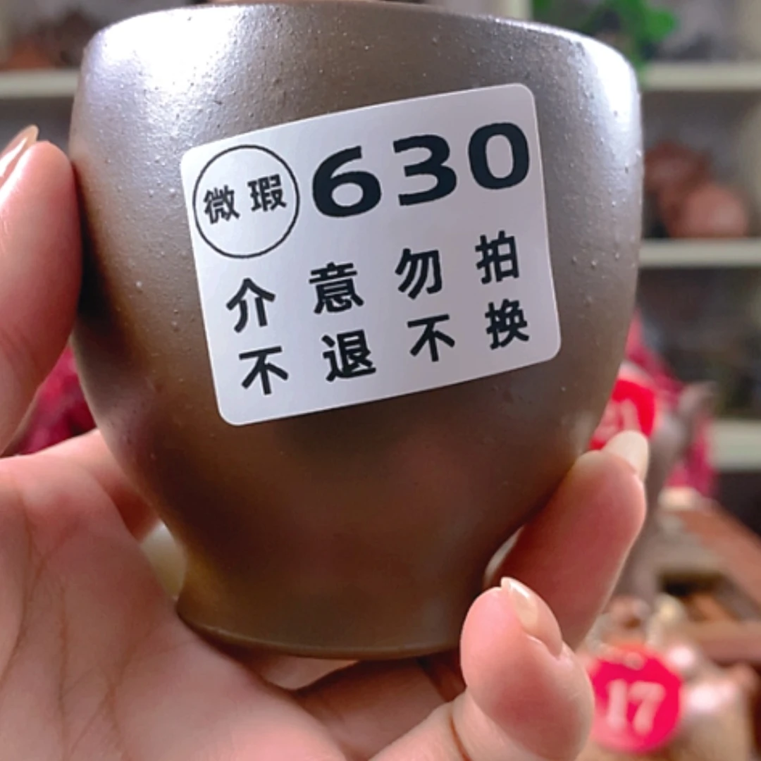 【闪购商品】陶120cc