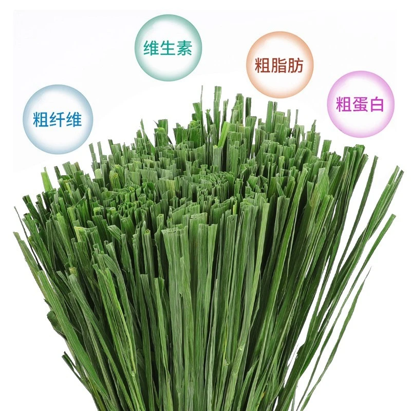 宠物兔子吃烘干北提干草草龙猫豚鼠牧草提摩西草兔草提摩西草干草