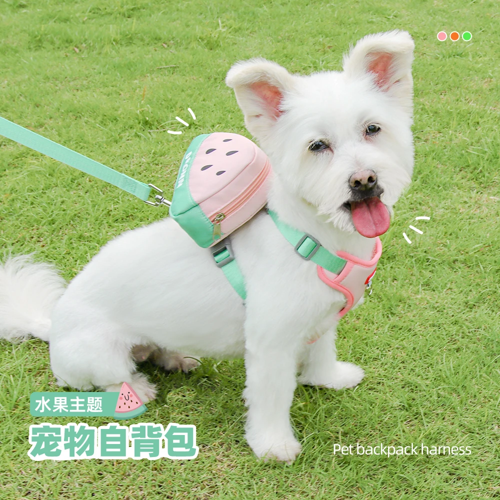 狗狗牵引绳自背包胸背带中小型犬泰迪比熊柴犬书包背心式遛狗绳子