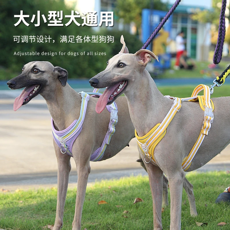 狗狗牵引绳背心式防爆冲胸背带金毛拉布拉多狗绳子中大型犬狗链