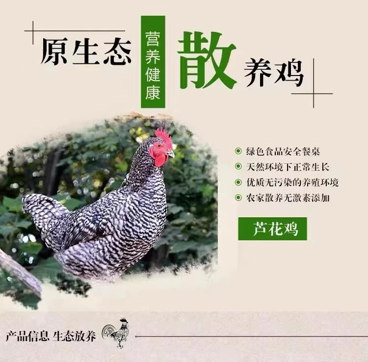 【芦花】通用厂家直销优选饲料健好饲养使用天然营养颗粒颗粒