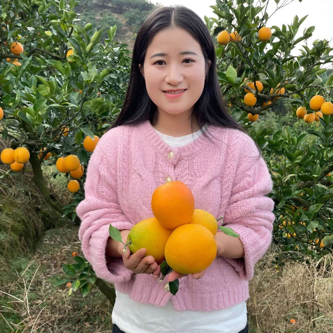 贵州榕江脐橙正宗榕江橙子新鲜超甜当季现摘现发大果