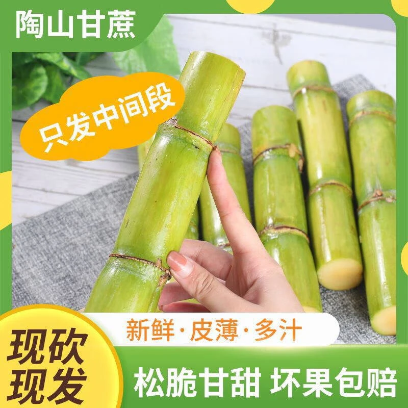 正宗陶山甘蔗新鲜青皮绿皮甘蔗孕妇薄皮皮薄甜脆清甜产品农家整根