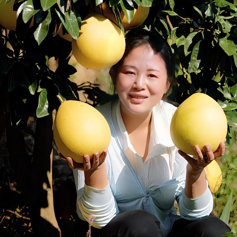 《铜鼓姑娘推荐》锦屏产地三红蜜柚皮薄多汁酸甜口感年货备红心蜜柚