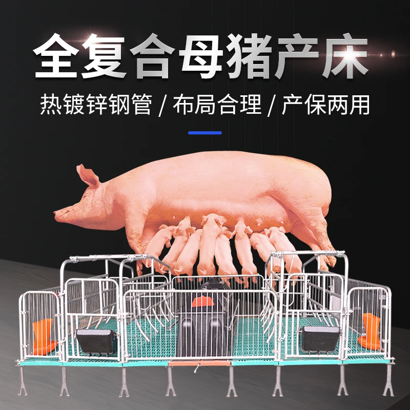 全复合母猪产床保育床分娩床仔猪保育栏定位栏养殖养猪场器械设备