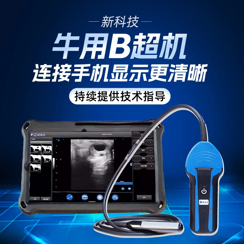 兽用b超机猪牛羊b超测多胎检测仪高清方便捡孕仪