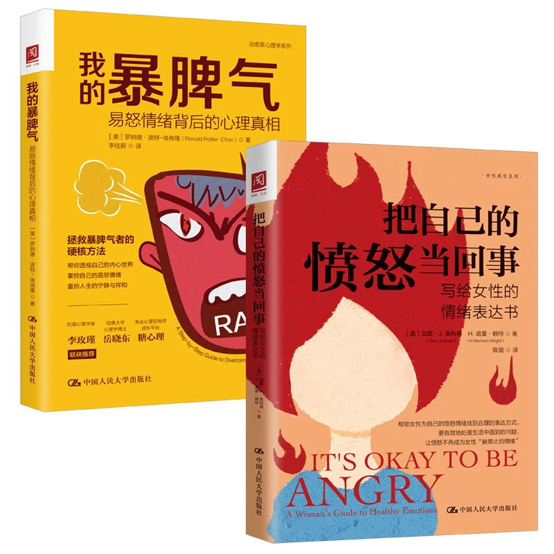 我的暴脾气：易怒情绪背后的心理真相/把自己的愤怒当回事