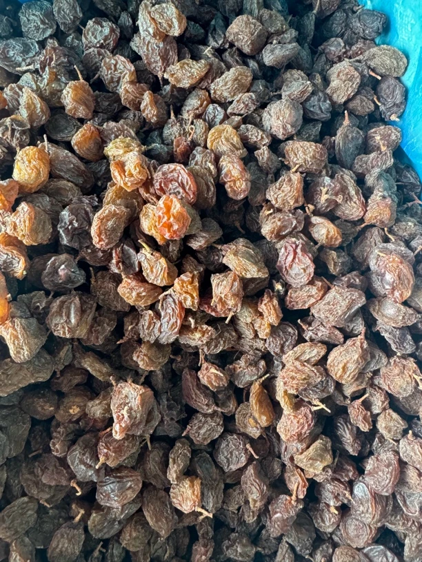 雪莲果2024年新货喜欢的来新疆直发