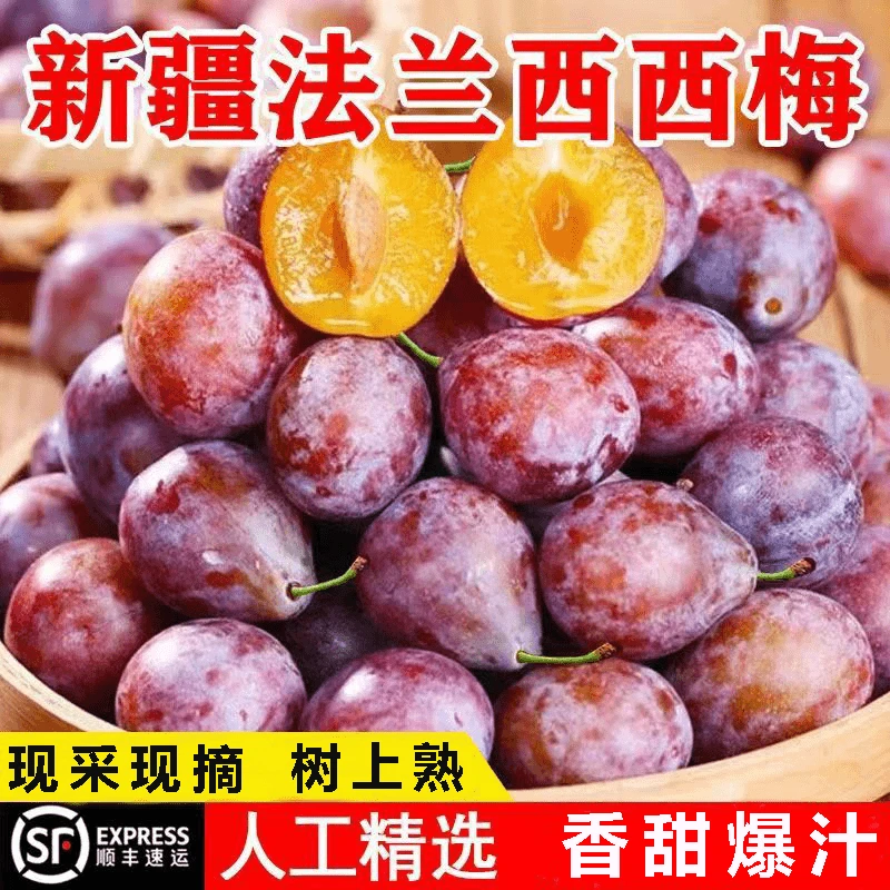 顺丰包邮-新疆法兰西西梅喀什西梅李子新鲜水果西梅鲜果优质水果