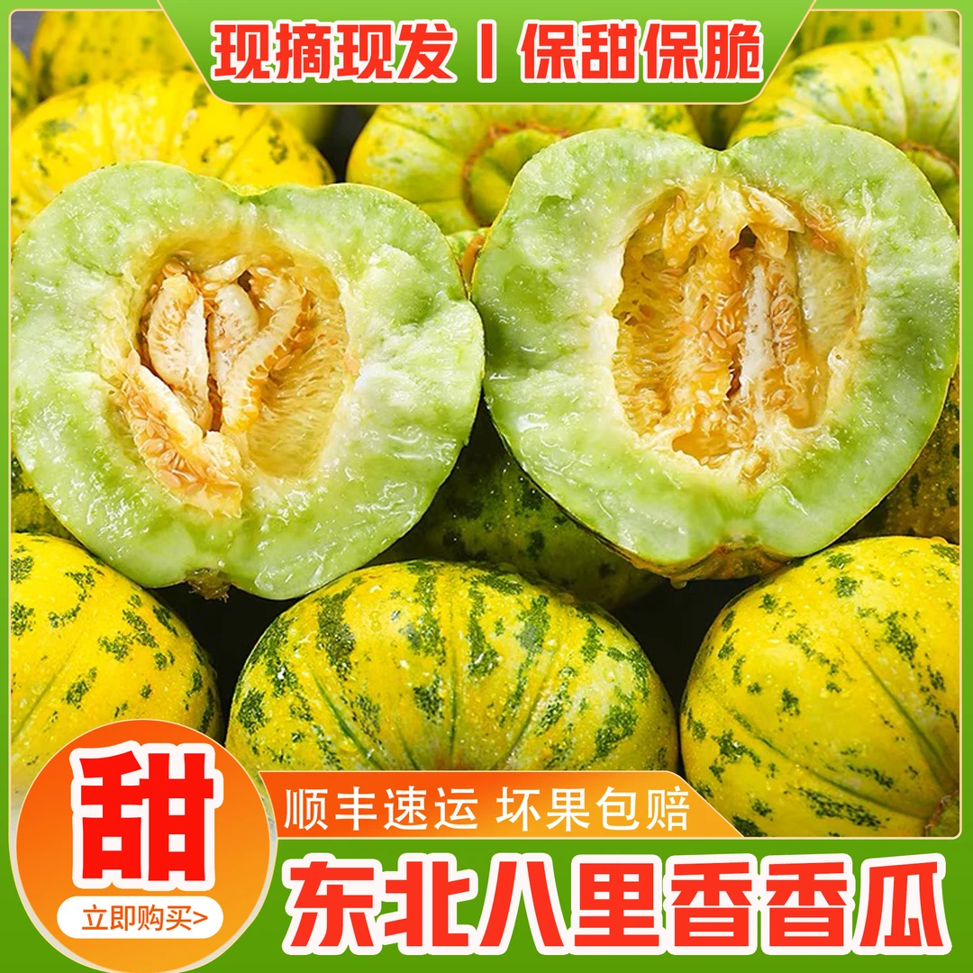 东北八里香香瓜 脆甜新鲜 口感脆甜 坏果包赔 3斤5斤顺丰包邮