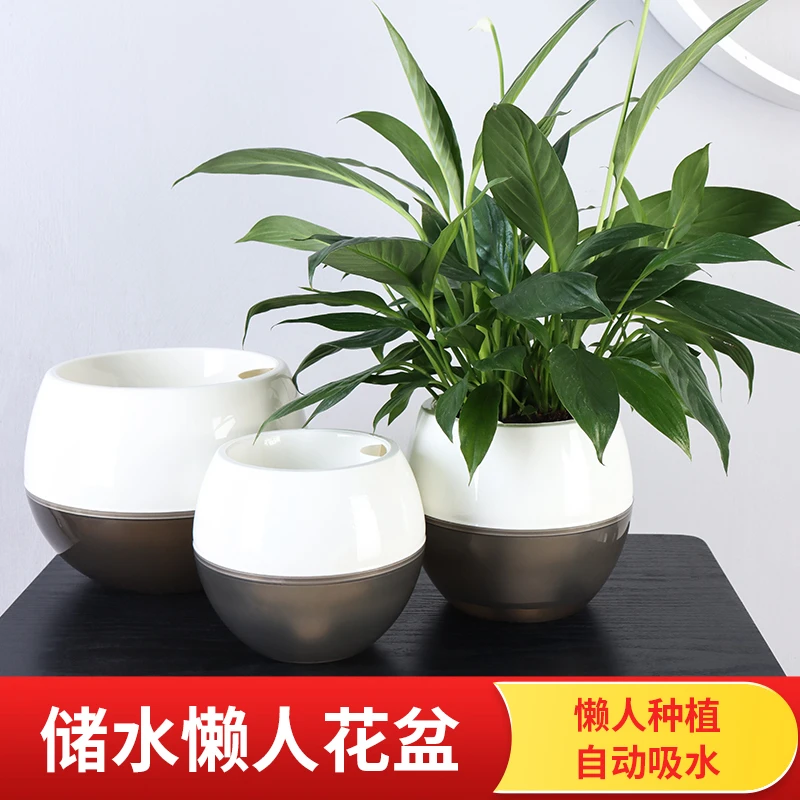 花盆家用圆形懒人自吸水花盆多肉小花盆