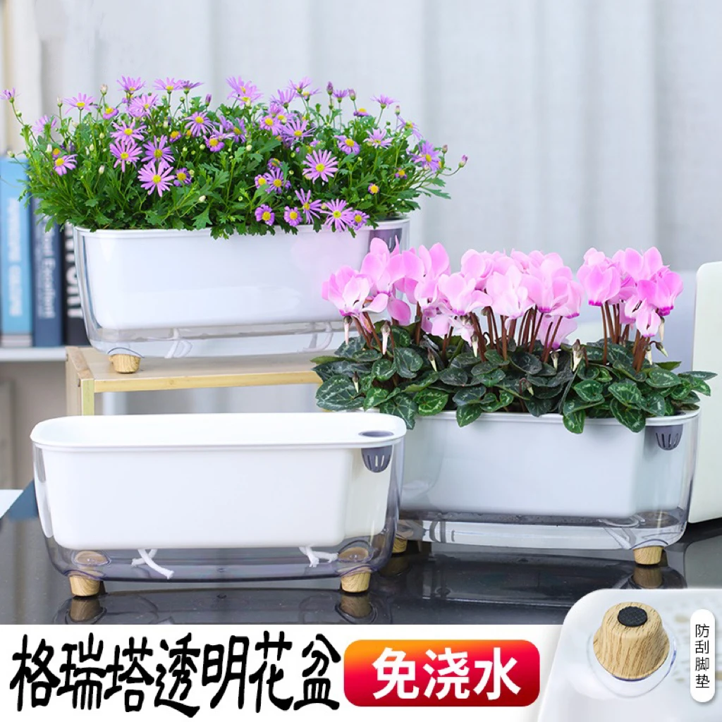 新款简约透明花盆网红花盆多肉花盆家用长方形盆景花盆种菜专用盆