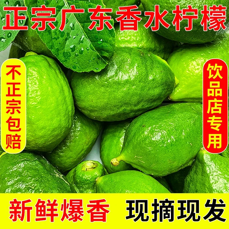 顺丰正宗广东无籽香水柠檬饮品奶茶店专用爆香薄皮多汁产地直发