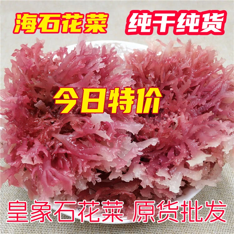 皇象干货纯干海石花菜红石花龙须菜凉拌菜海燕窝红珊瑚全干高品质