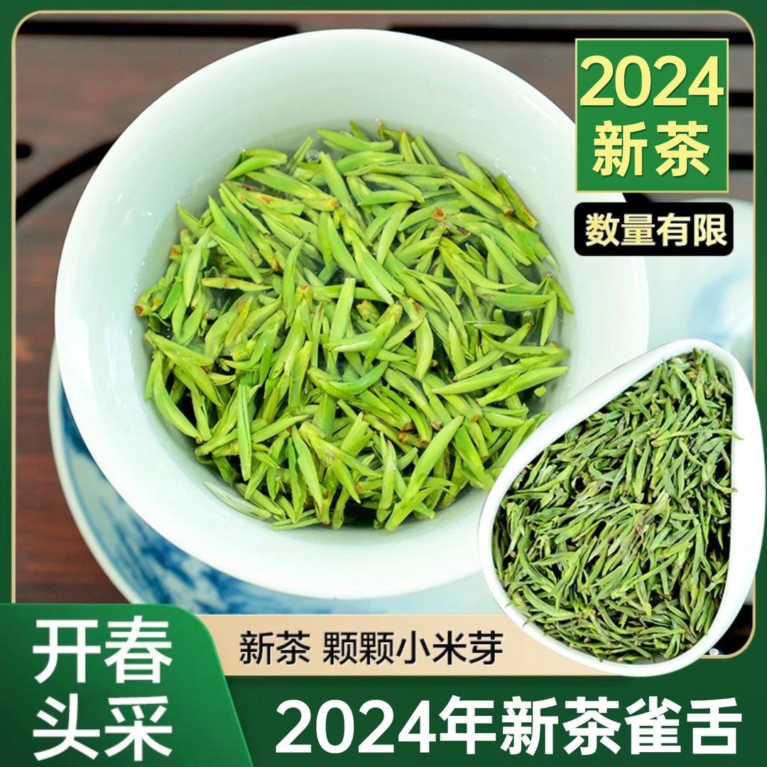 2024明前头采雀舌T01T02T03春季头采正宗绿茶手工采摘春茶口粮茶