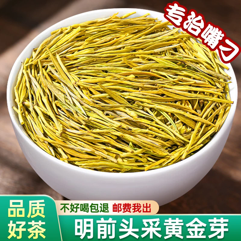 黄金芽A3绿茶2024年春季头春头采罐装浓香型茶叶佳品好茶