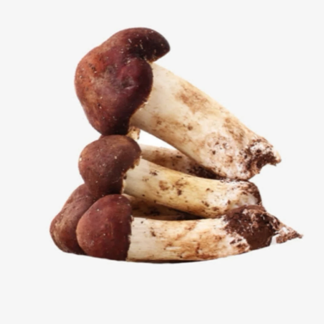 【姬松茸 产地溯源 售后无忧】 姬松茸 提鲜炖汤 炒菜1.8斤一盒