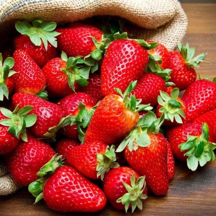 新品福利【二姐家 售后无忧】成都巧克力草莓礼盒装1/2/3斤净果大果