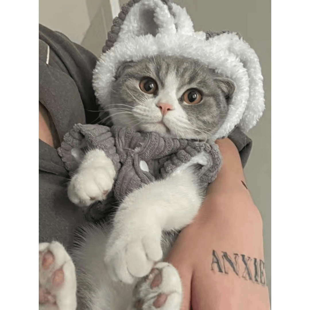 FAVMARTHA 宠物小猫猫咪衣服防掉毛秋冬季四脚保暖兔子幼猫英短布