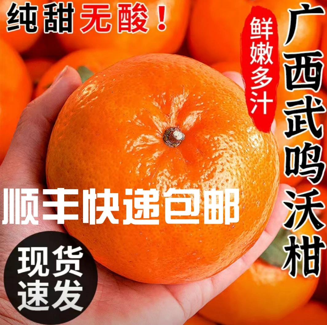 【顺丰包邮】春节不打烊正宗广西武鸣沃柑礼盒装泡沫箱爆甜多汁