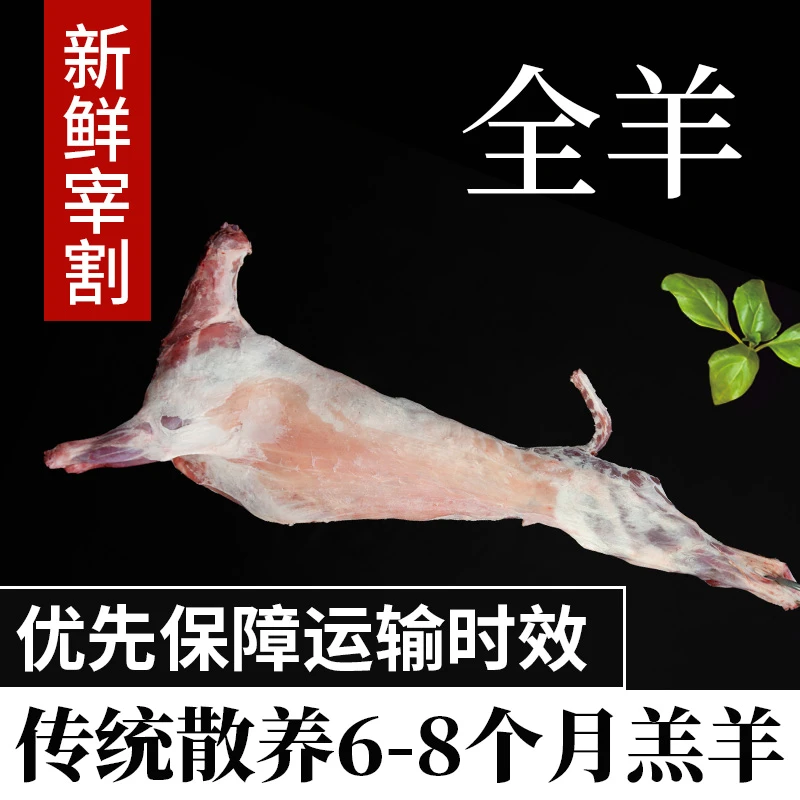 宁夏散养滩羊-整只羊【当天屠宰-新鲜分割】