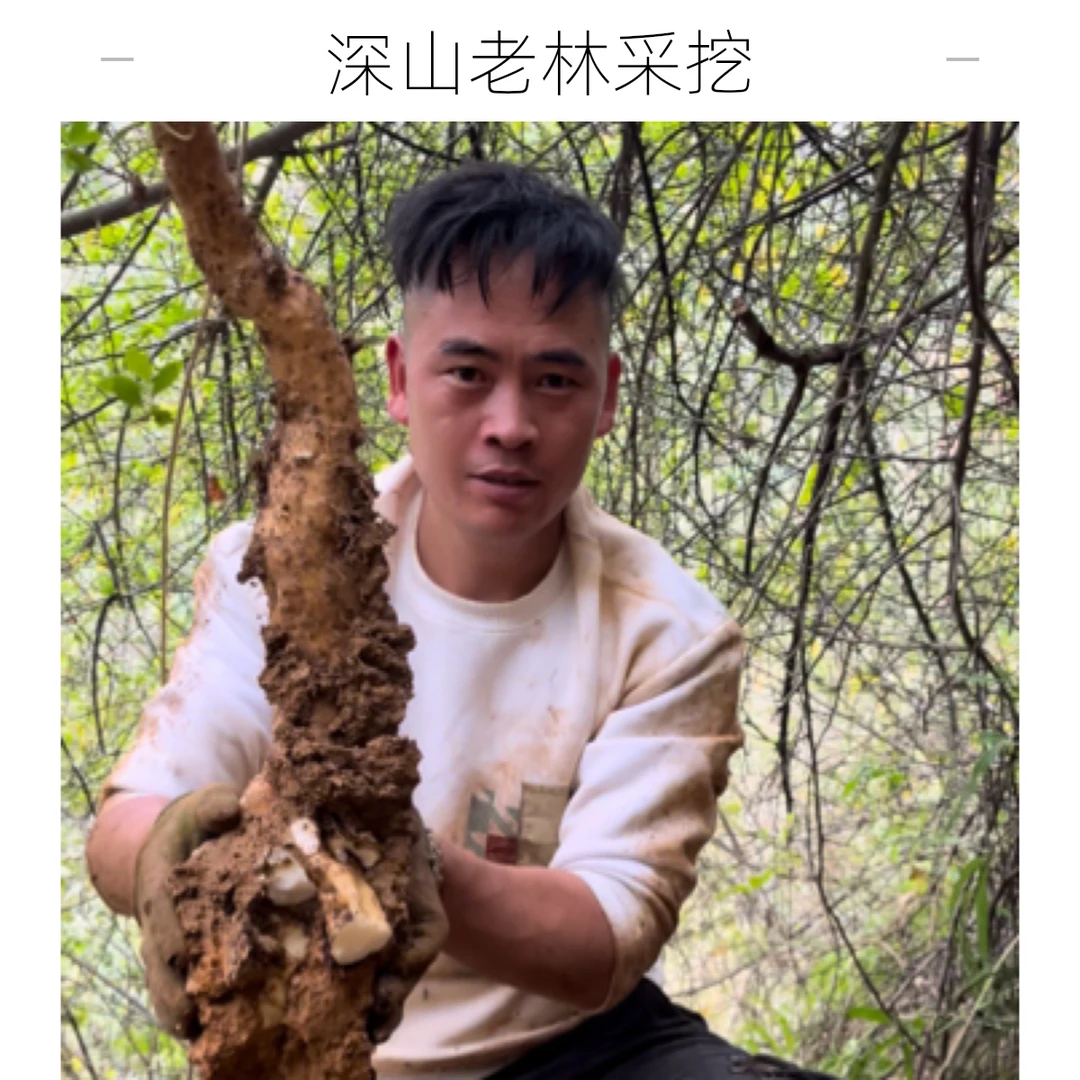 贵州高海拔野生山药，野生怀山纯野生.现挖现卖、非铁棍山药、