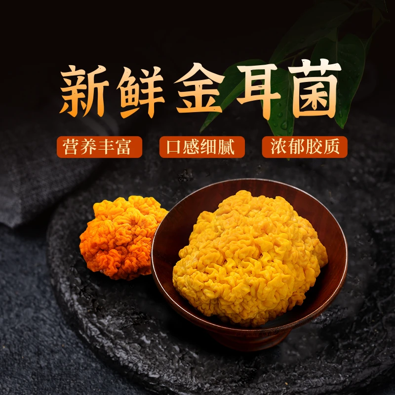 新鲜黄金耳菌精选刺身级别金耳黄木耳非干货黄耳煲汤金耳羹礼盒
