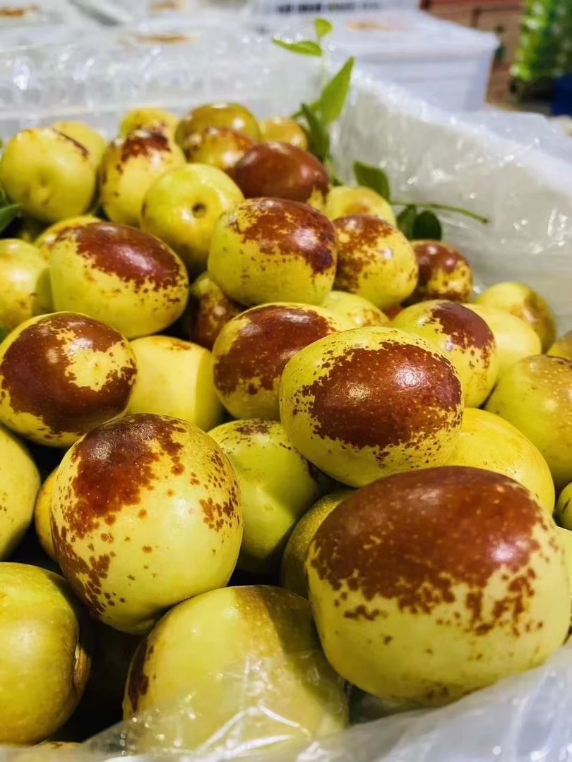 脆甜【冬枣】：2斤装一盒