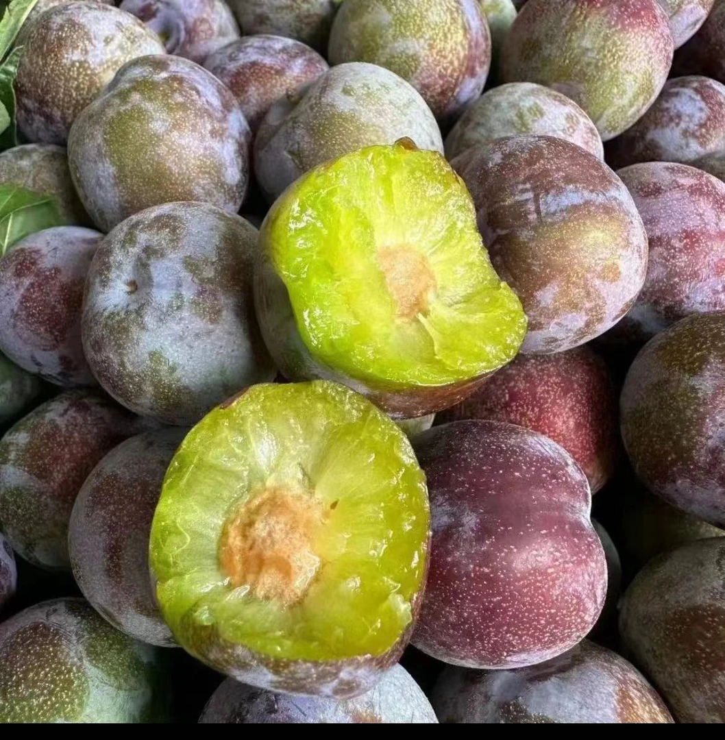 紫金脆李：一份装【脆甜爽口】约2斤