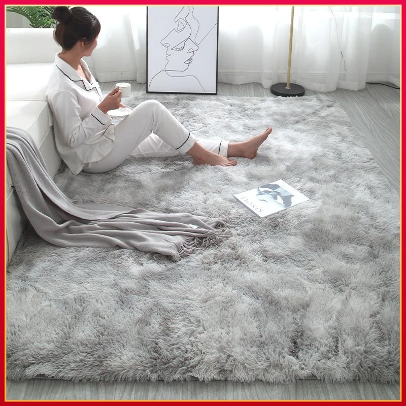 推荐加厚地毯卧室少女耐脏客厅床边毛毯门垫飘窗垫子地垫房间满铺