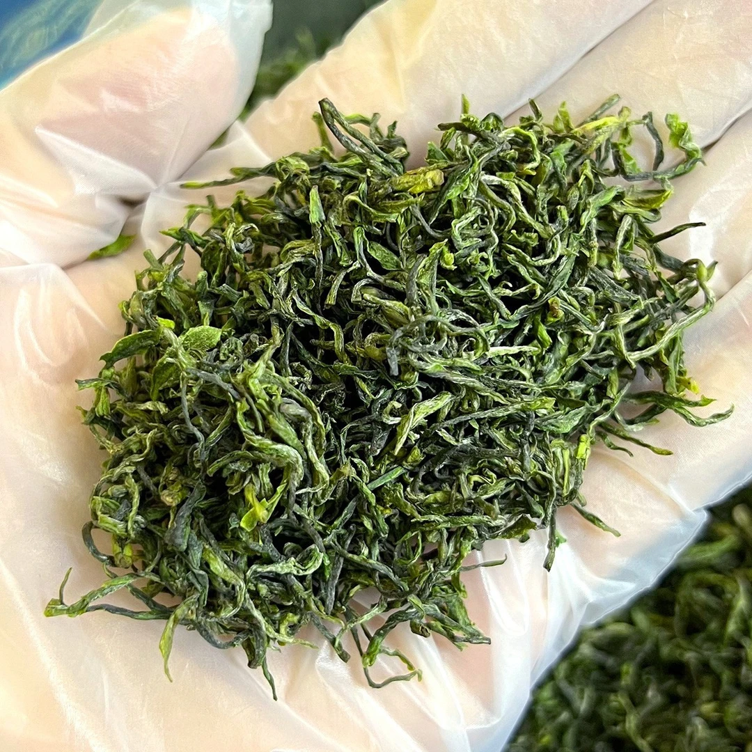 雨前山茶毛尖一品香平利女娲茶清明手工采摘原产地