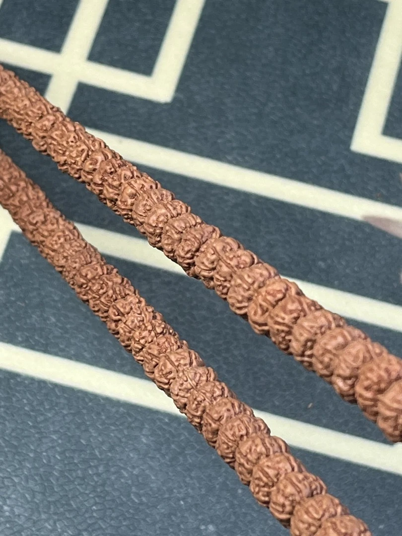 春山文玩#421原皮#纯血勿里达老树王尺寸8-12+钢丝刷