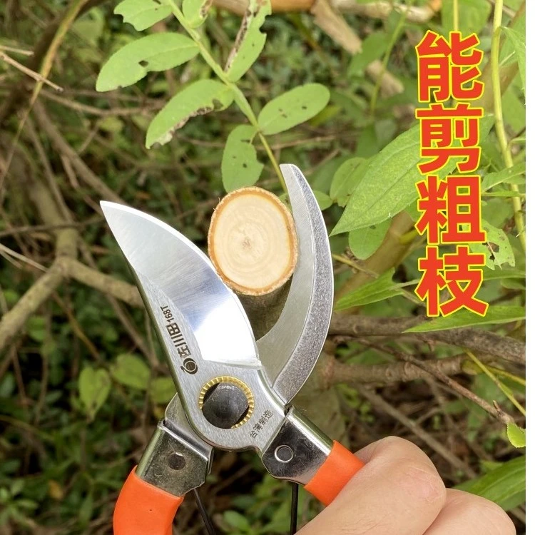 园艺剪刀修枝省力家用剪枝树剪强力修枝剪修剪刀果树修花多功能